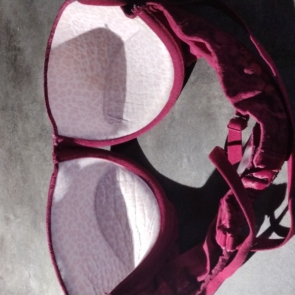 38C Maroon Lace Bra - Picture 2 of 3